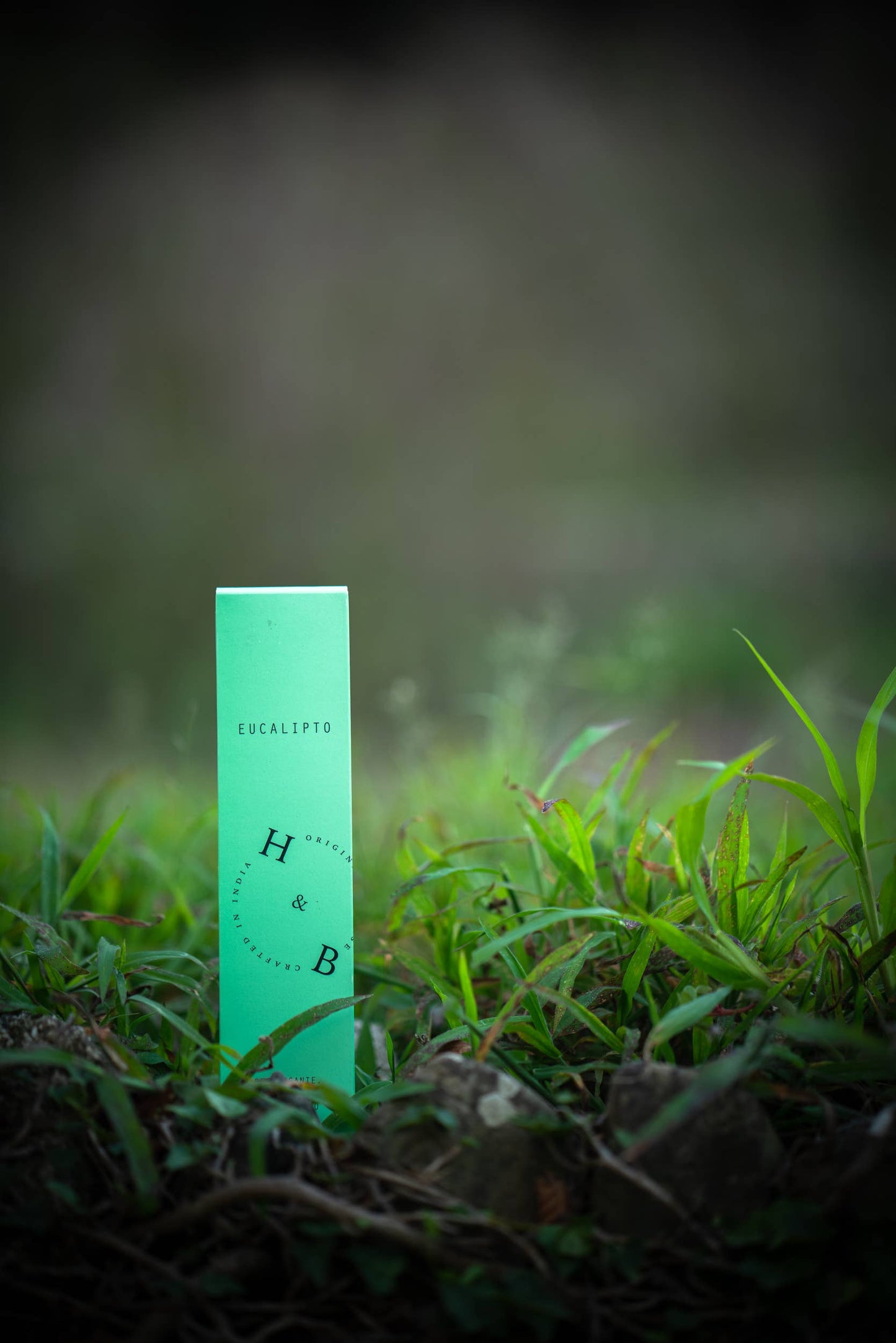 Natürlicher Eukalyptus-Weihrauch