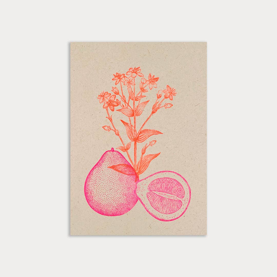 Postkarte / Pomelo / Risographie